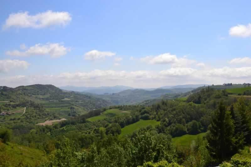 Pensjonat Trattoria Del Bivio Cerretto Langhe Zewnętrze zdjęcie